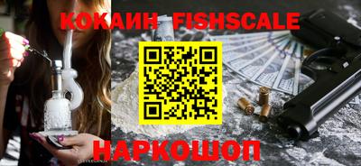 индика Славгород