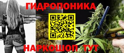индика Славгород