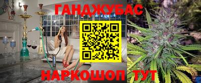 индика Славгород